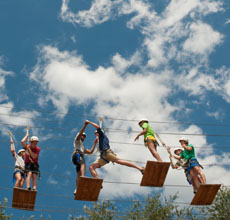 Meet the Class of 2015